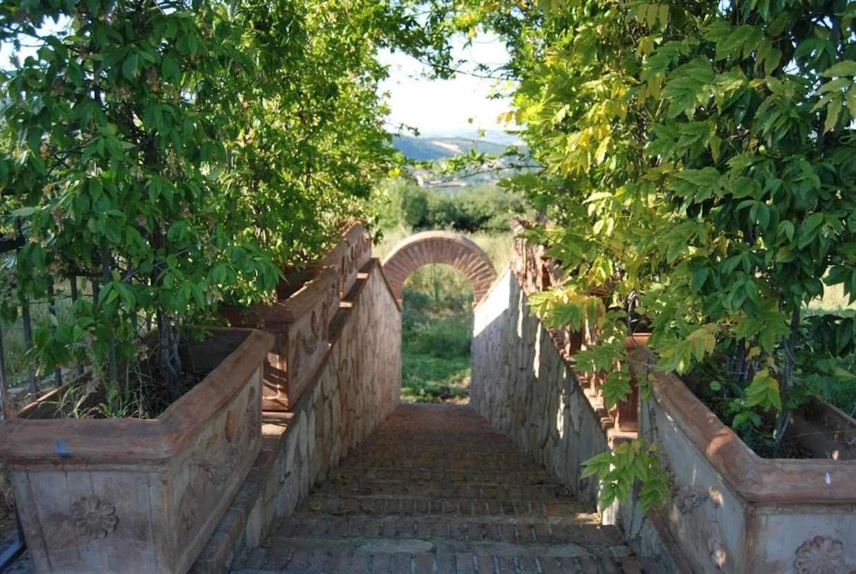 الشقق الفندقية توديفي  Residenza Collefiorito المظهر الخارجي الصورة